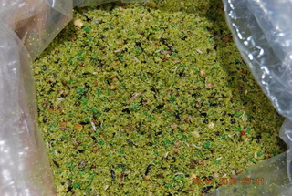 NATURAL DIET BIRD pasta cria verde con espirulina 5kg
